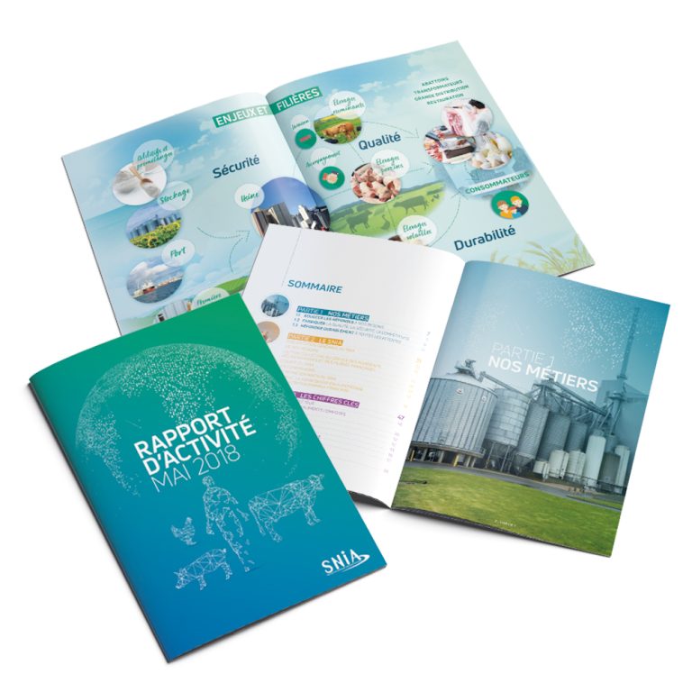 SNIA | Rapport d&rsquo;activité 2018